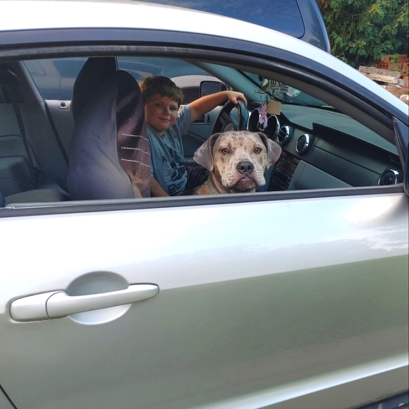 Meet your Posher, Virginia - Picture 1 of 1